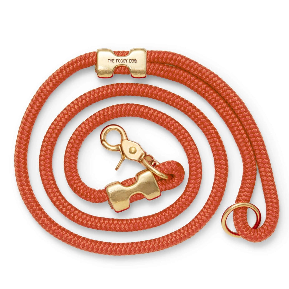 Leashes
