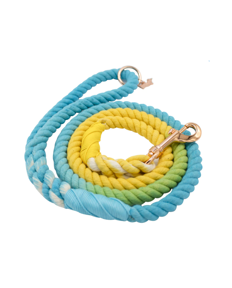 Dog Leash - Bubbles
