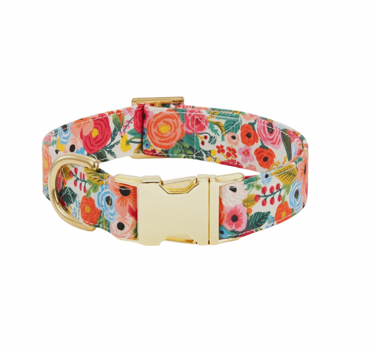 Petite Petals Dog Collar