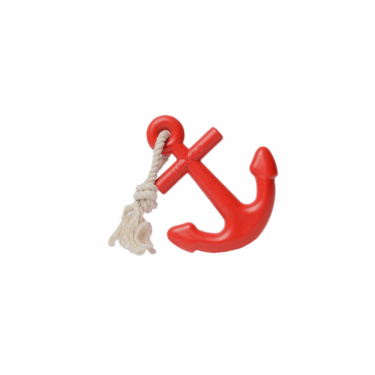 Waggo dog anchor toy