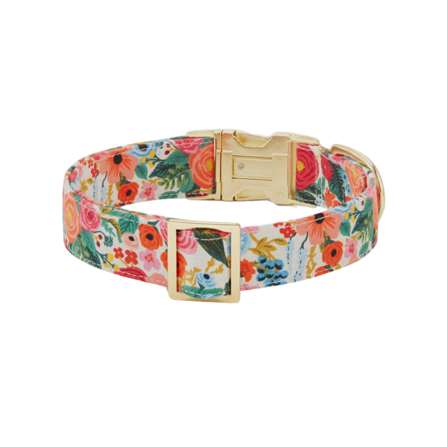 Petite Petals Dog Collar