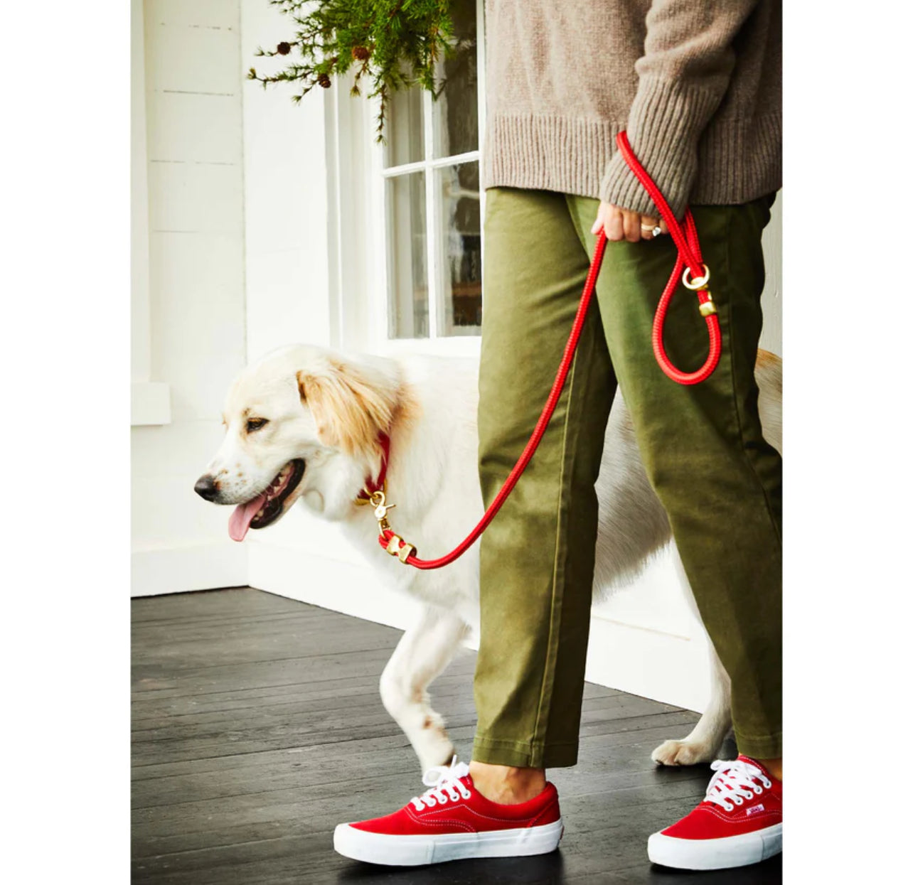 Ruby Marine Rope Dog Leash