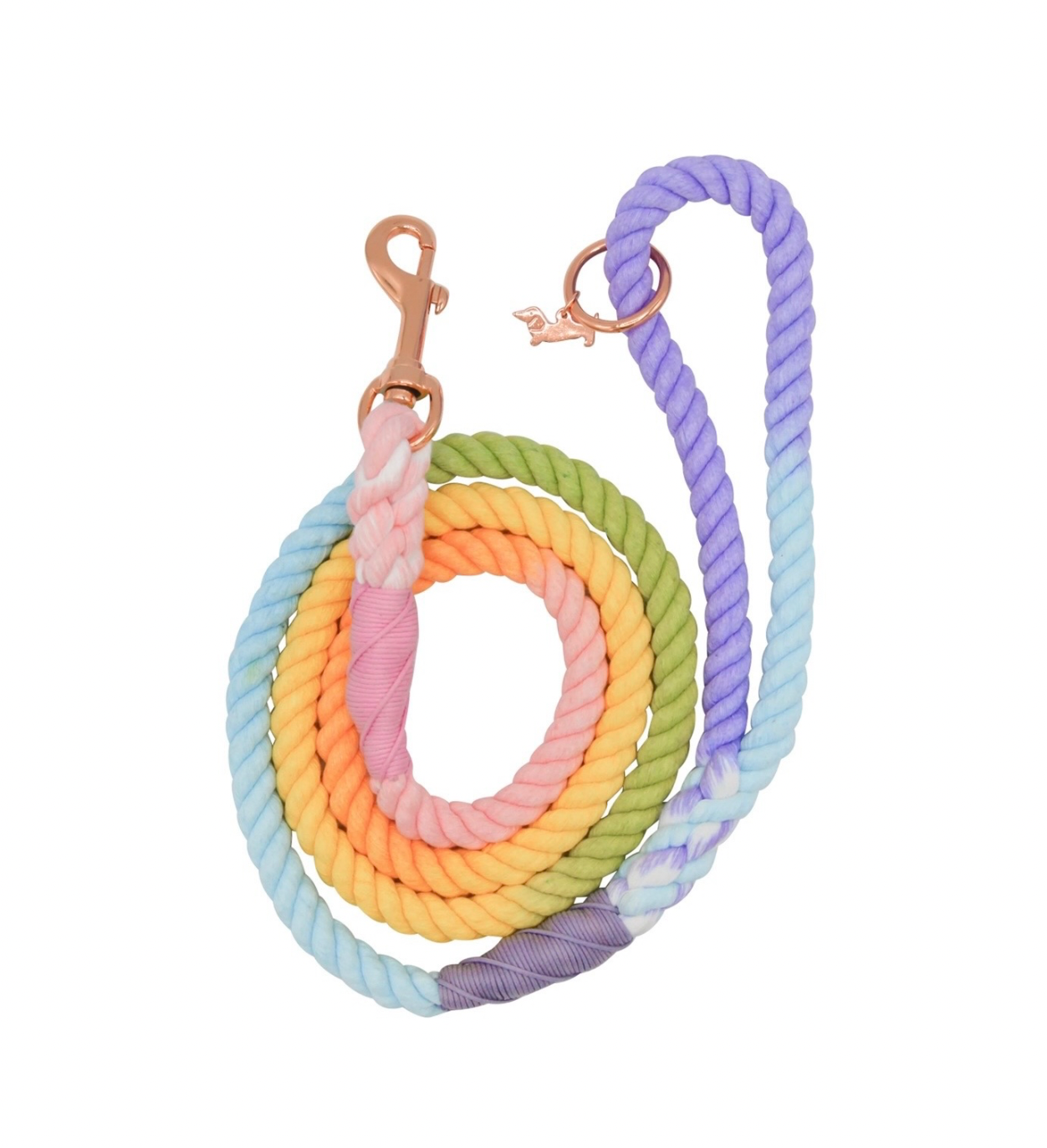 Dog Leash - Piñata