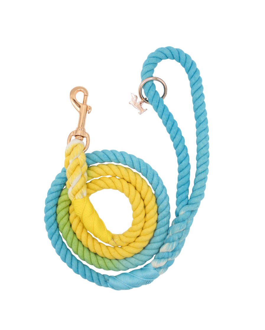 Rope Leash - Sassy woof Bubbles 