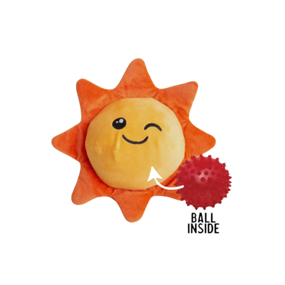 Sweet Sunshine Dog Toy