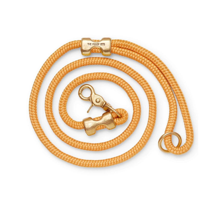 Goldenrod Marine Rope Dog Leash