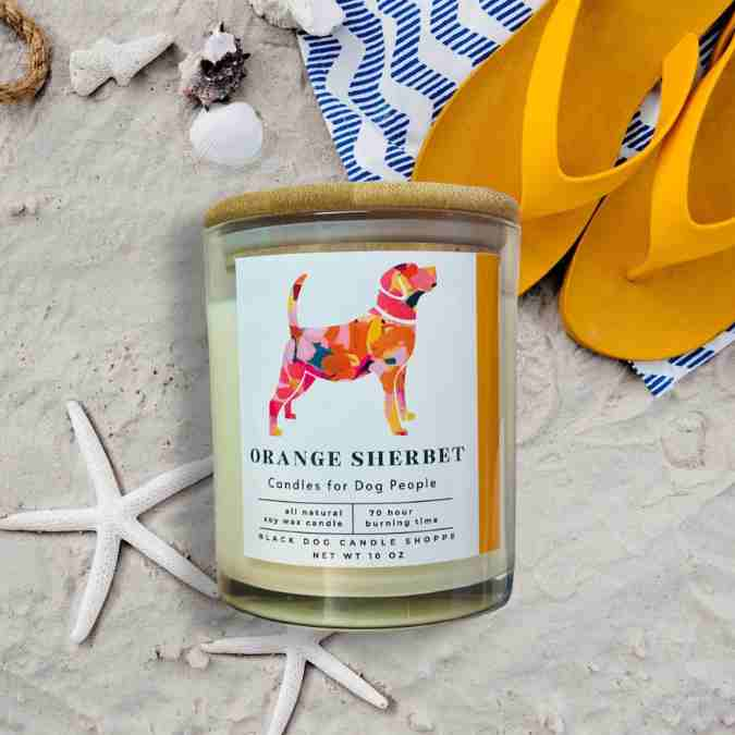 Orange Sherbet Modern Dog Candle