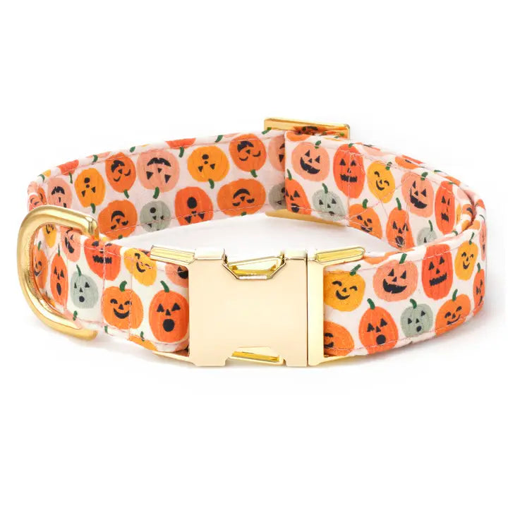 Jack-O'-Lanterns Halloween Dog Collar